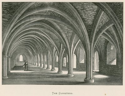 Fountains Abbey, The Cloisters af Alexander Francis Lydon