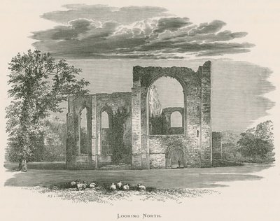 Furness Abbey, ser mod nord af Alexander Francis Lydon