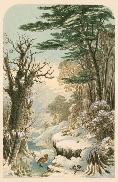 Illustration til Longfellow