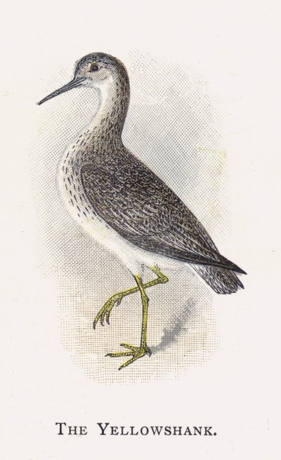 Gulbenet af Alexander Francis Lydon