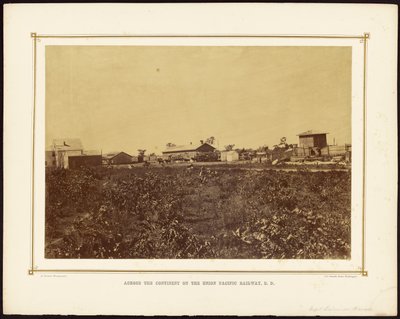 [Depot, Lawrence, Kansas] af Alexander Gardner