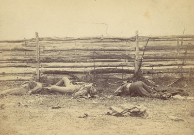 Udsigt i marken, på vestsiden af Hagerstown Road, efter slaget ved Antietam, ..., 1862. af Alexander Gardner