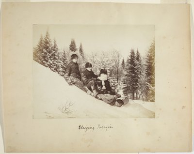 Kælkning, ca. 1873 (albumin print (komposit)) af Alexander Henderson