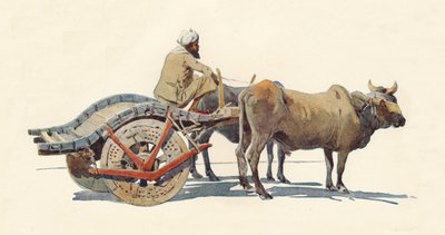 A Bullock Cart, Jodhpur, c1880 1905. af Alexander Henry Hallam Murray