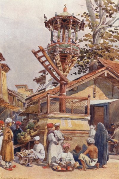 Et fodersted for fugle, Ahmedabad af Alexander Henry Hallam Murray