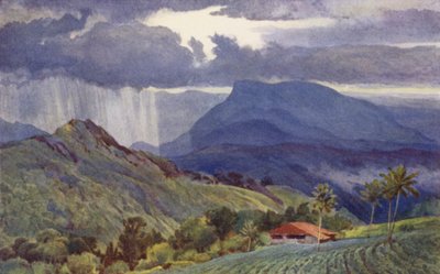 Et tropisk brusebad af Alexander Henry Hallam Murray