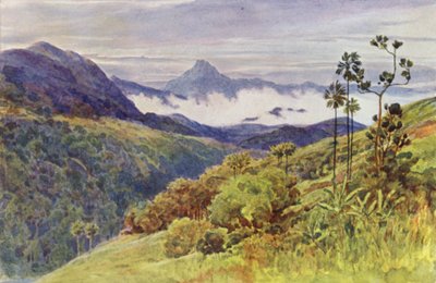 Morgentåger i dalen af Mahaweli Ganga (farve litho) af Alexander Henry Hallam Murray