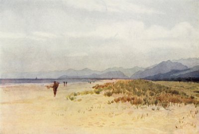 Havkysten nord for Viareggio (farve litho) af Alexander Henry Hallam Murray