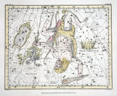 The Constellations (Plade VIII) Corona Borealis, Hercules and Cerberus, Lyra, fra 