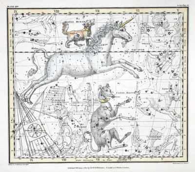 Konstellationerne (plade XXV) Canis Major, Canis Minor, Monoceros, Argo Navis, Printer