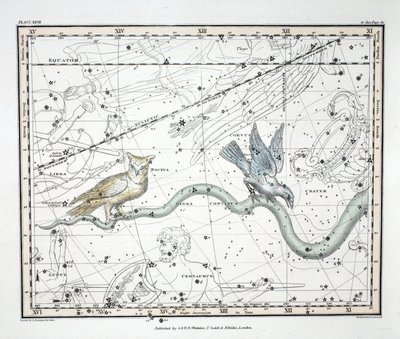The Constellations (Plate XXVII) Hydra Continua, Crater, Covus, Centaurus et Lupus, fra 
