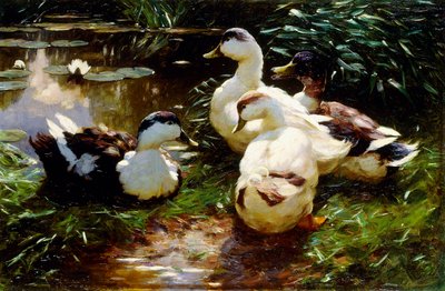 Ænder på en flodbred af Alexander Koester