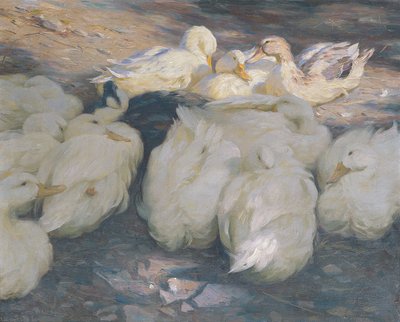 I aftensolen af Alexander Koester