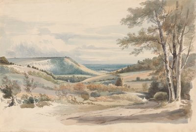 Boxhill fra West Humble Lane af Alexander Monro