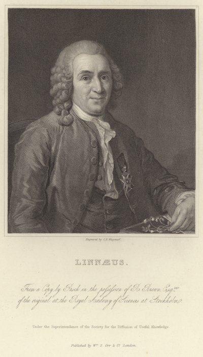 Linné af Alexander Roslin