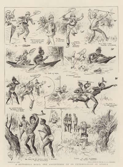 En sommerfuglejagt, en entomologs eventyr i Afrika af Alexander Stuart Boyd