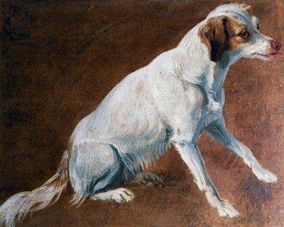 Fransk spaniel forfader, af Alexandre-Francois Desportes (1661-1743), Frankrig af Alexandre Francois Desportes