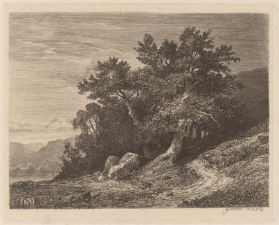 Gamle træer på en bjergskråning af Alexandre Calame