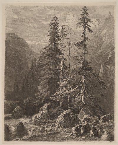 Raderingsforsøg af Alexandre Calame, I, planche 21 af Alexandre Calame