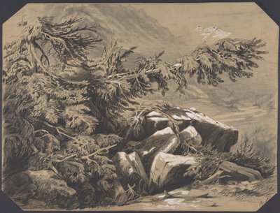 Skove og bjerge af Alexandre Calame