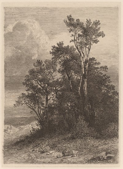 Trælund af Alexandre Calame