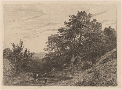 Flok i en Strøm af Alexandre Calame