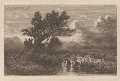Vaskerier af Alexandre Calame