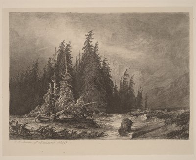 Bjergfyr af Alexandre Calame