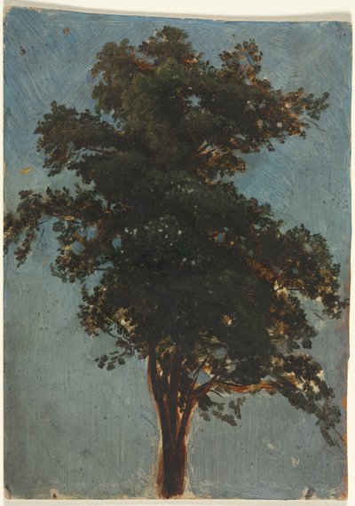 Træstudie, anden tredje 1800-tallet. af Alexandre Calame