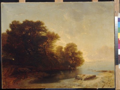 Træer ved søen ved Calame, Alexandre (1810-1864). Olie på lærred, Mål: 62x81. State A. Pushkin Museum of Fine Arts, Moskva af Alexandre Calame