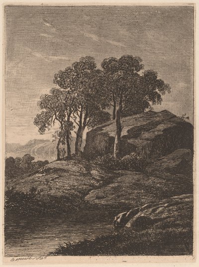 Træer ved en klippe af Alexandre Calame