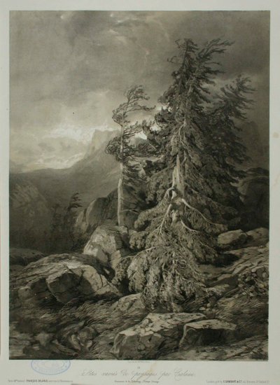 Uden titel af Alexandre Calame