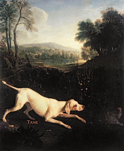 Ludvig XIVs hund, Tane af Alexandre Francois Desportes