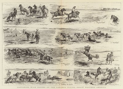 Indfangning af vilde heste på Laramie-sletten i Nordvestamerika af Alfred Chantrey Corbould