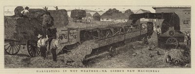 Høst i vådt vejr, hr. Gibbs