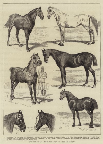 Skitser på Islington Horse Show af Alfred Chantrey Corbould