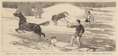 Skitser fra British Columbia, der knækker unge heste til slædesele af Alfred Chantrey Corbould