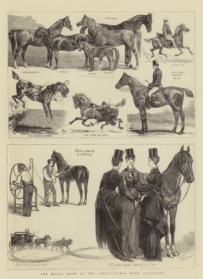 Hesteshowet i Agricultural Hall, Islington af Alfred Chantrey Corbould
