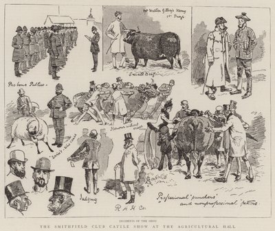 Smithfield Club Cattle Show i Agricultural Hall af Alfred Chantrey Corbould