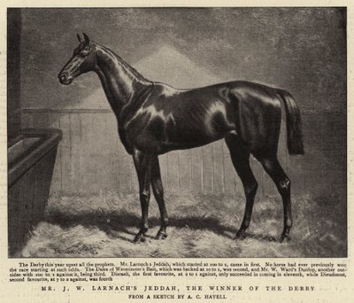 Mr J W Larnachs Jeddah, vinderen af Derbyet af Alfred Charles Havell