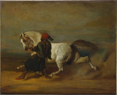 Pashaens stolthed af Alfred Dedreux