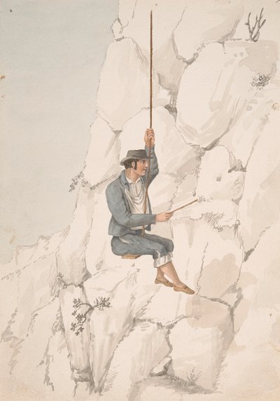 Gomero, Orchilla-samler af Alfred Diston