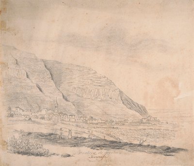 Realejo fra oven, Tenerife af Alfred Diston