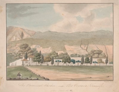 Den botaniske have nær Port Orotava, Tenerife af Alfred Diston