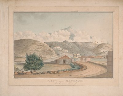 Udsigt fra Martianez, Port Orotava, Tenerife af Alfred Diston