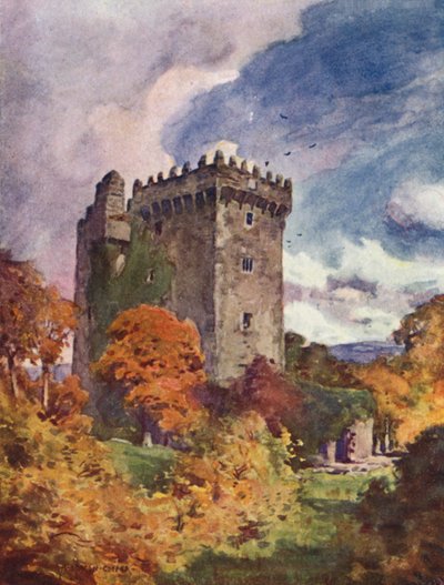 Blarney Slot af Alfred Heaton Cooper