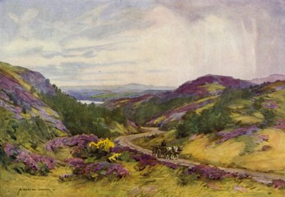 Danmark: Raebild Bakker, nær Aalborg (farve litho) af Alfred Heaton Cooper