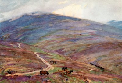 Exmoor Ponyer, under Dunkery Beacon (farve litho) af Alfred Heaton Cooper