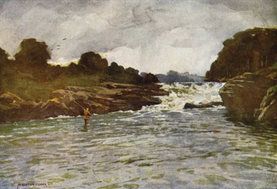 Kathleens Falls, Ballyshannon af Alfred Heaton Cooper