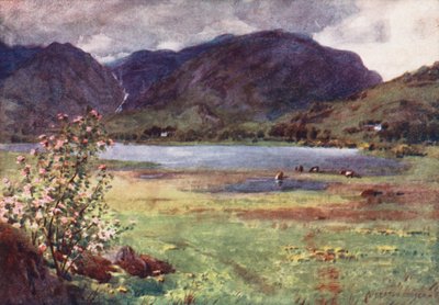 Lake District: Little Langdale Tarn (farvelitografi) af Alfred Heaton Cooper